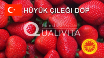 Hüyük Çileği DOP - Turchia