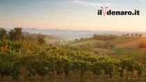 Campi Flegrei DOP, “dalla viticoltura eroica alla città del vino”
