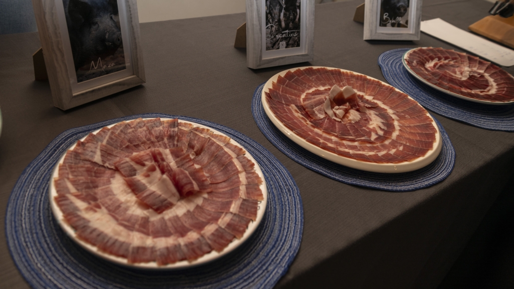 2024 - Sovicille, Festa della Cinta Senese DOP