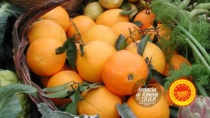 Consorzio Arancia Ribera DOP siccità: "Nuovo invaso sul fiume Verdura è necessario"