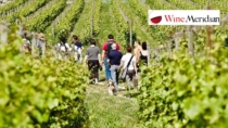 Turismo DOP: la cantina diventa la porta d