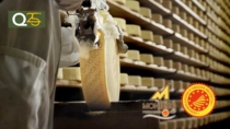 Montasio DOP, nel 2024 vendute 780.973 forme registrando un +3%