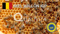 Miel Wallon IGP - Belgio