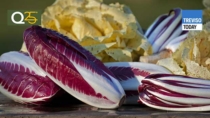 Fiori d’Inverno: 39° Mostra del Radicchio Rosso e dei Prodotti Tipici Regionali