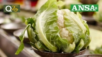 Riconosciuto il Consorzio del Cavolfiore della Piana del Sele IGP
