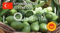 Aydın Memecik Zeytini DOP - Turchia