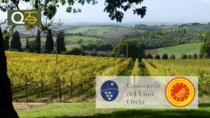 [San Giovanni d’Asso] DìVinOrcia 2025: la giornata di presentazione dell’Orcia DOP