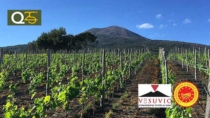 Turismo DOP: il Consorzio vini Vesuvio DOP presenta il progetto VesuvioWay
