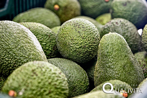 Aguacate de Canarias IGP