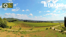 "Suber", il Consorzio Suvereto Val di Cornia mette il territorio dentro un calice
