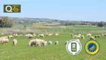Debutto internazionale per l