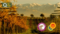 Consorzio Tutela Vini d
