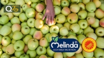 La varietà della Mela Val di Non DOP Renetta alleata della salute