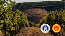 PRECISIAMO: concluso il progetto per l’innovazione del Morellino di Scansano DOP