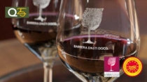 A Nizza è Barbera 2025 arriva Collisioni Festival: la «rossa piemontese» si accende di musica