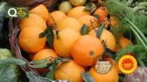 L’appello del Consorzio Arancia Ribera DOP per il consorzio di bonifica Agrigento