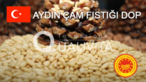 Aydın Çam Fıstığı DOP - Turchia