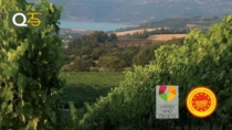 Consorzio Vini di Orvieto: con il nuovo disciplinare sarà possibile produrre vini a 10 gradi
