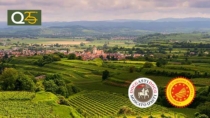 Consorzio Asti DOCG: al via la vendemmia del moscato bianco 2025