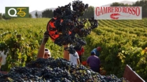 “Distillazione straordinaria dei vini DOC e DOCG”. Richiesta urgente dai Consorzi piemontesi