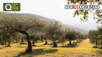 Turismo DOP, nasce l’accordo tra Strada dell’Olio evo DOP Umbria e Federalberghi