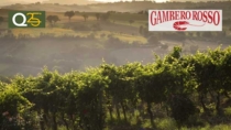 Stoccaggio per il Verdicchio Castelli di Jesi DOP: "Misura necessaria. Con i dazi si teme la perdita di valore"