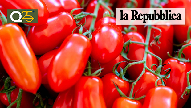 san marzano