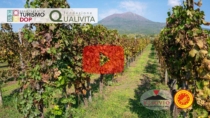 [VIDEO] - 1°Rapporto Turismo DOP: Parco Nazionale del Vesuvio