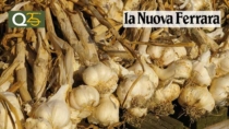 Raccolta super per l