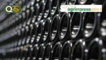 Entra in vigore il Contrassegno di Stato per i vini Emilia IGP