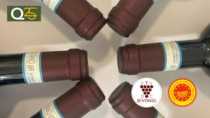 Il vino Bivongi DOP adotta il contrassegno di Stato: passo storico per il vino calabrese