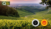 Turismo DOP, chiusa con successo la quinta edizione di “Oltrepò: Terra di Pinot Nero”