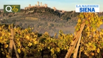 Consorzio della Vernaccia di San Gimignano, Manrico Biagini nuovo presidente
