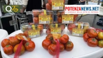 Una festa per la Melanzana Rossa di Rotonda DOP e i Fagioli Bianchi di Rotonda DOP