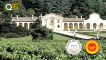 Il Consorzio Asolo Montello celebra 40 anni di storia: bellezza, valore, identità