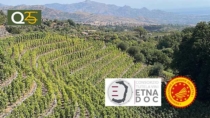 Etna Days 2025. I vini del vulcano al centro del mondo, edizione da record