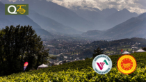 Vendemmia 2025 in Valle d’Aosta: premiata l’eccellenza dei vignerons valdostani