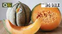Frutta, produzione in calo. In controtendenza il Melone Mantovano IGP