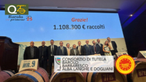 Barolo en primeur, vendemmia 2024: annata particolare, vini luminosi ed eleganti