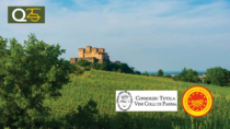 [Felino] Stati Generali della DOC Colli di Parma: innovazione e sostenibilità nel futuro del vino parmense