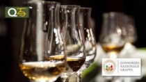 Turismo DOP, successo per RossoBarbera e Pianeta Grappa