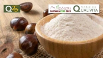 Castanea Expo 2025: la fiera della castanicoltura italiana tra DOP, IGP e innovazione