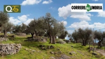 Umbria, torna Frantoi Aperti tra treni, arte e pedalate