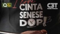 Successo per la II edizione della Festa della Cinta Senese DOP