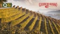 Il Nizza DOP esce dal Consorzio Barbera d