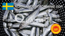 Norrlandsströmming DOP - Svezia