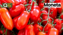 Pomodoro Made in Italy di nuovo sul podio: sorpassa Pechino e sfida gli Stati Uniti