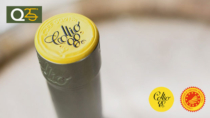 Turismo DOP, il Consorzio di Tutela Vini Collio DOP lancia "Collio Evolution"