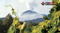 Etna DOP, la denominazione che sfida la crisi USA