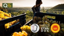Consorzio vini Etna DOC: sprint finale per ottenere la DOCG